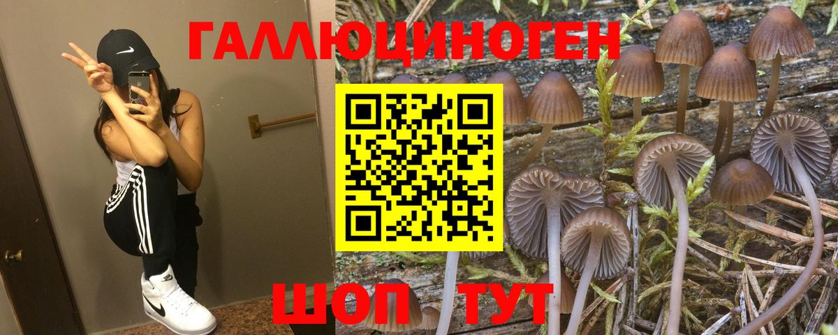 Псилоцибиновые грибы прущие грибы Надым